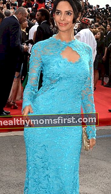 Mallika Sherawat di Festival Film Cannes pada Mei 2014