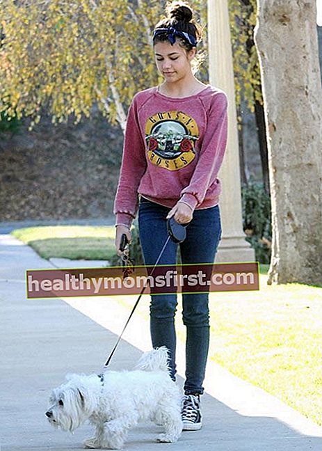 Amber Montana membawa anjingnya Elvis pada bulan Disember 2015