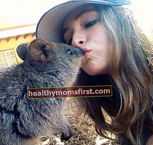 Ashleigh Cummings senang dicium oleh quokka di Hari Valentine 2016