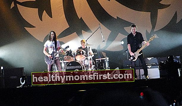 왼쪽에서 오른쪽으로-Chris Cornell, Matt Cameron, Ben Shepherd가 2010 년 8 월 시카고 Lollapalooza에서 Soundgarden과 함께 공연하는 모습