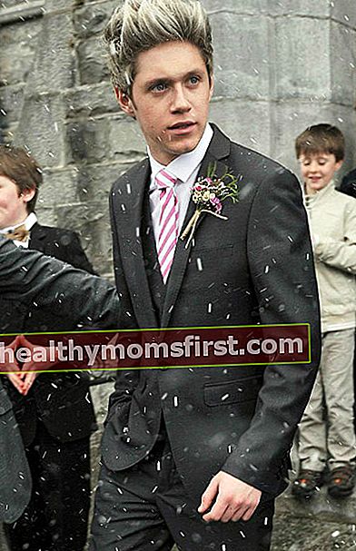 Tinggi Niall Horan