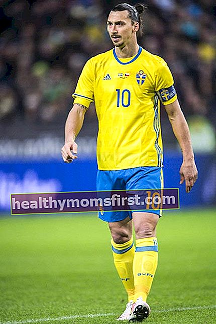 Zlatan Ibrahimovic semasa perlawanan persahabatan antara Sweden dan Republik Czech pada 29 Mac 2016 di Solna, Sweden