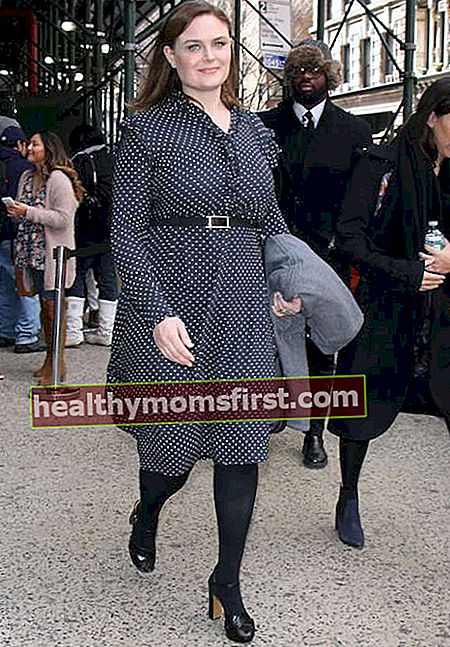 Emily Deschanel keluar di New York pada Januari 2017