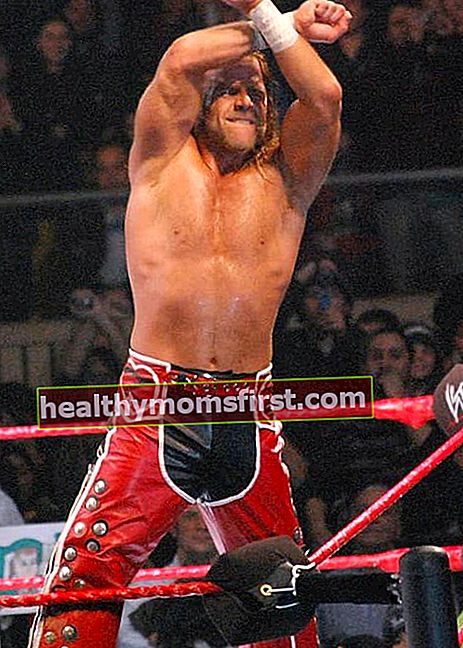 Shawn Michaels saat pertandingan pada Juli 2008