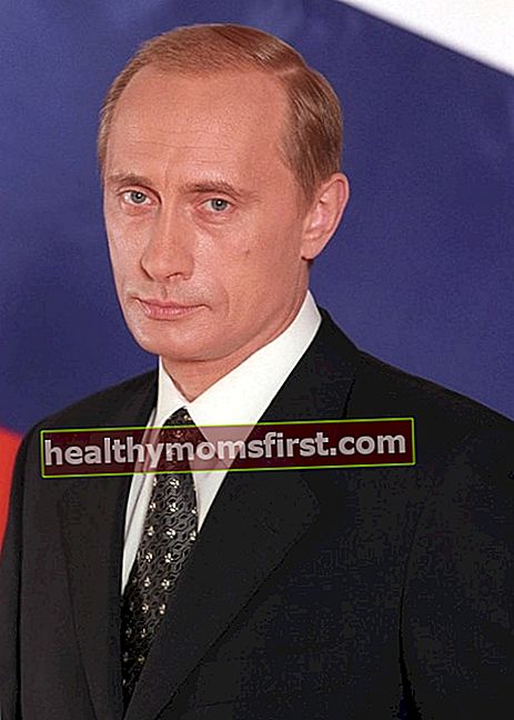 Presiden Vladimir Putin seperti yang terlihat dalam potret resminya