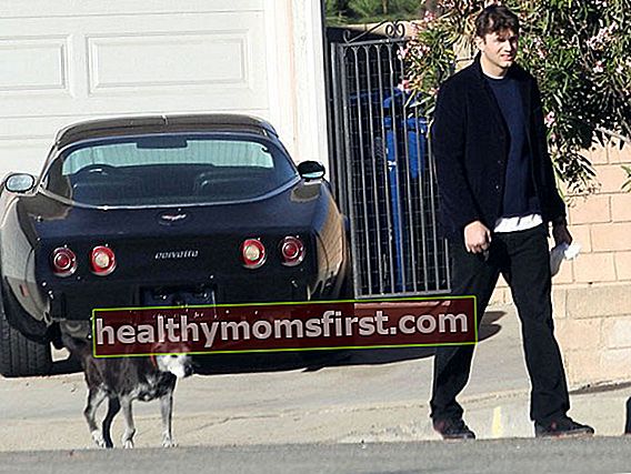 Ashton Kutcher mengajak anjingnya jalan-jalan