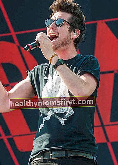 Ден Сміт під час виступу на фестивалі Rock im Park у червні 2015 року