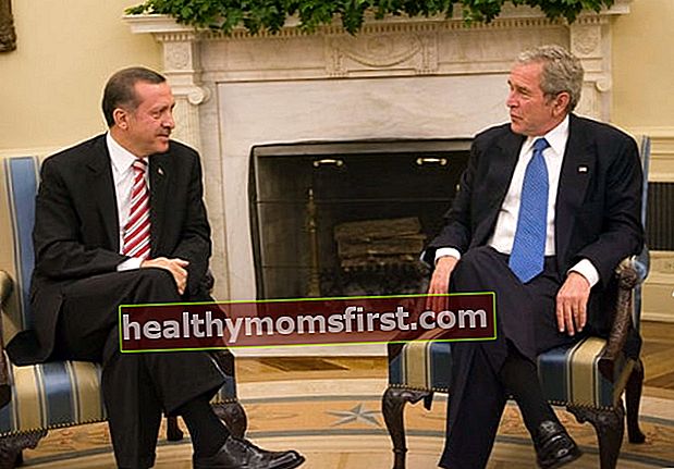 2007年11月5日、大統領執務室でのジョージW.ブッシュ大統領とのレジェップタイップエルドアン（左）会議