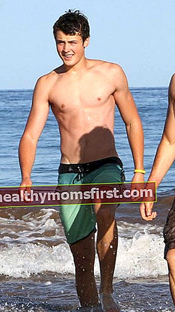 Dylan Efron bertelanjang dada di pantai di Maui pada bulan Desember 2016