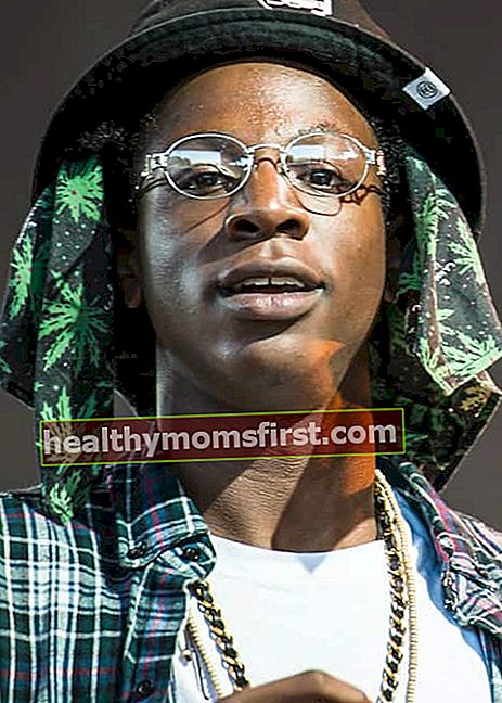 Joey Badass di The Come Up Show 2013 Under the Influence Tour