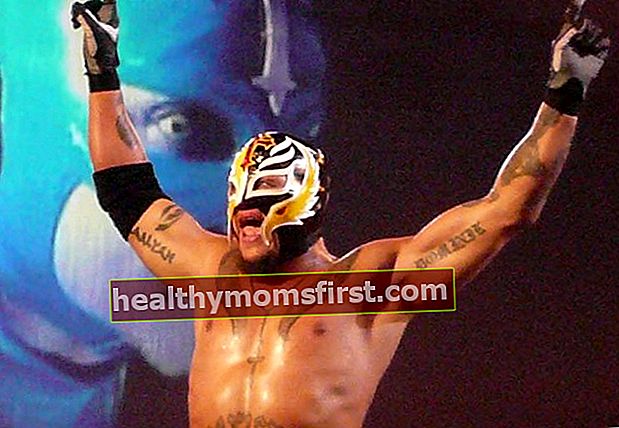 Rey Mysterio di arena Manchester Evening News pada November 2008