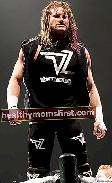 Dolph Ziggler seperti yang terlihat selama WWE Live WrestleMania Revenge pada April 2016