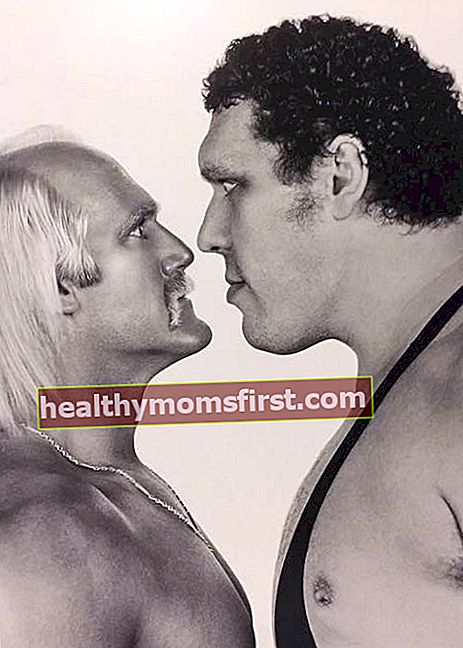 Hulk Hogan (Kiri) bersama Andre the Giant
