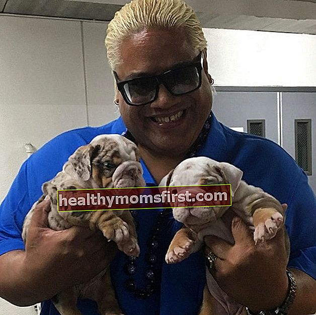 Rikishi dengan beberapa anak anjing seperti yang terlihat pada Desember 2019